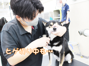 ☆カメラ目線特集☆